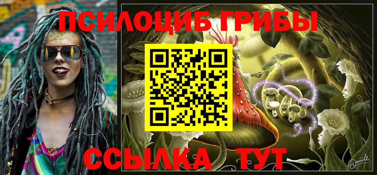 сколько стоит  Псилоцибиновые грибы ЛСД  Вход с VPN  Назарово 