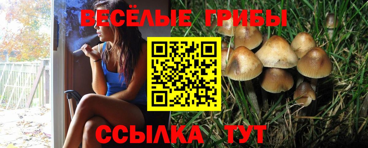 Псилоцибиновые грибы Magic Shrooms Назарово