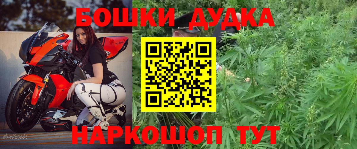 Бошки марихуана семена  Марихуана план  Бошки марихуана индика  Вход с VPN  Назарово 
